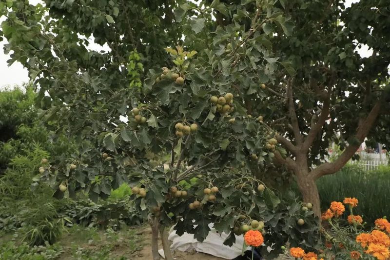 微信图片_20220830112313