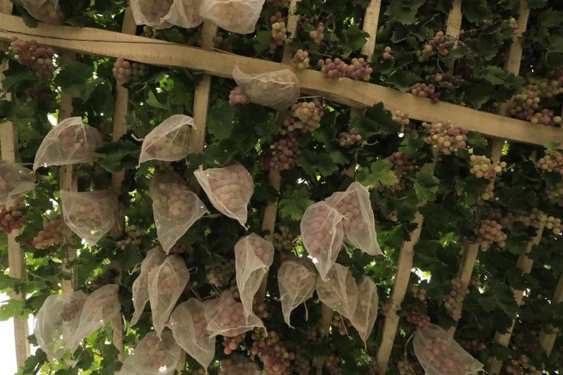 微信图片_20220830112310