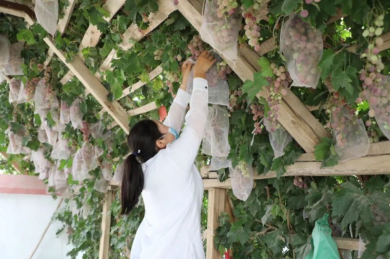 微信图片_20220830112317