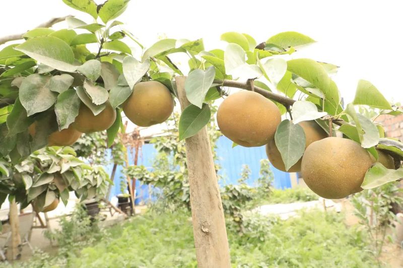 微信图片_20220830112320