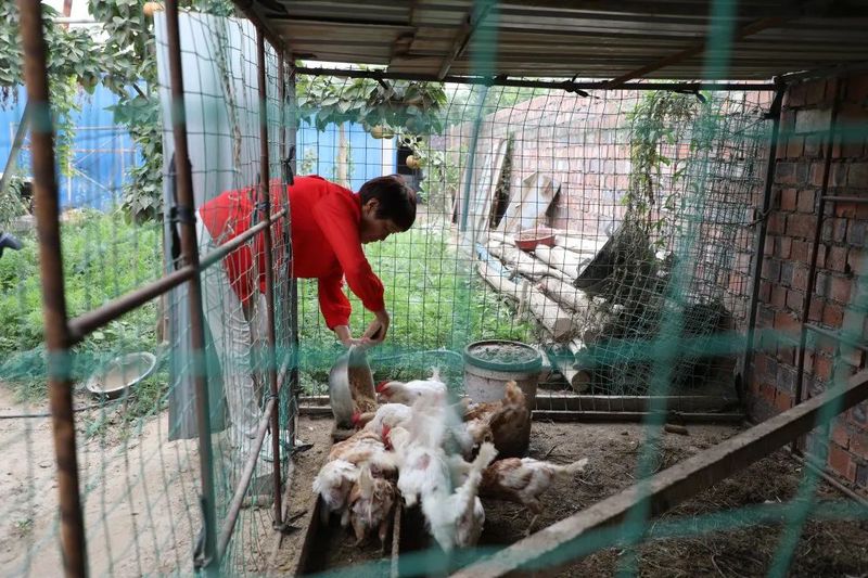 微信图片_20220830112323