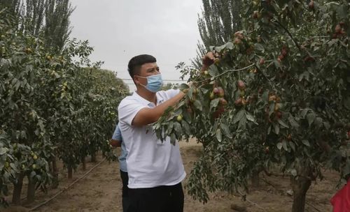 微信图片_20220901111533