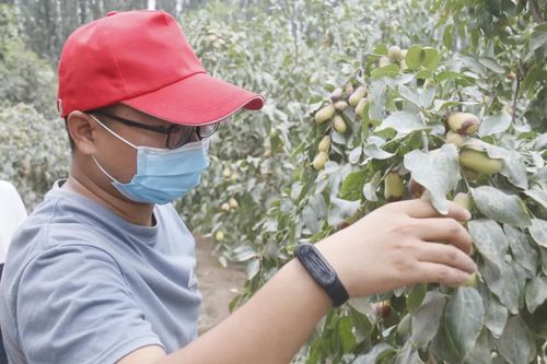 微信图片_20220901111536