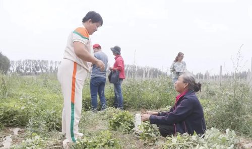 微信图片_20220901111538