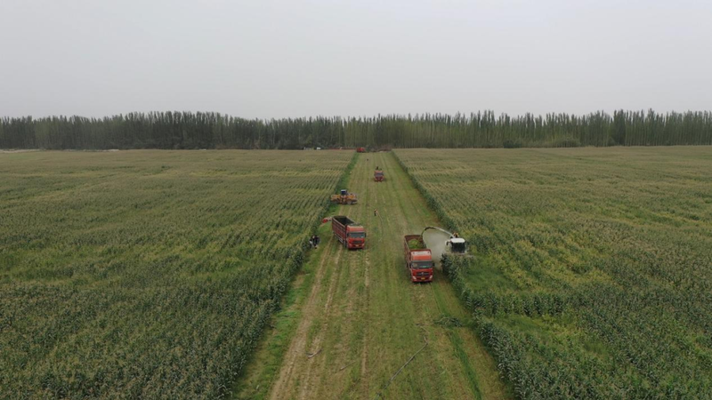 微信图片_20220901111750