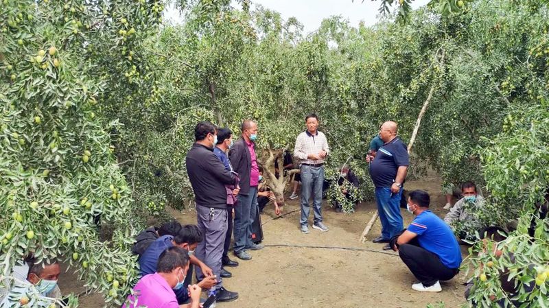 微信图片_20220902110838