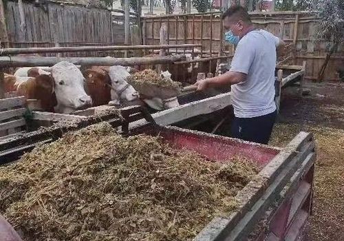 微信图片_20220902110938