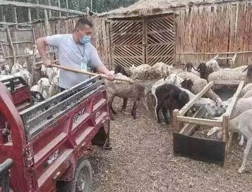 微信图片_20220902110941