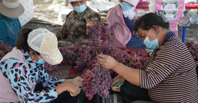 微信图片_20220902111205