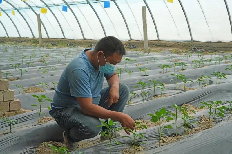 微信图片_20220905104139