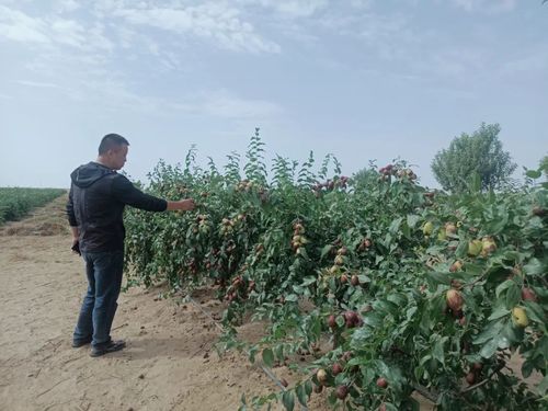 微信图片_20220905104202