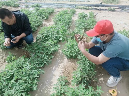 微信图片_20220905104204