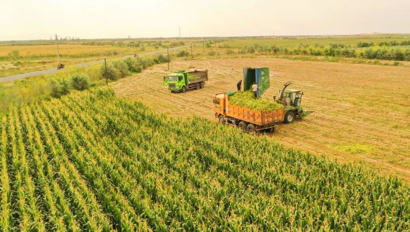 微信图片_20220908105841