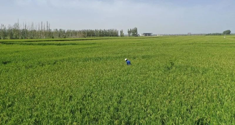 微信图片_20220909110552