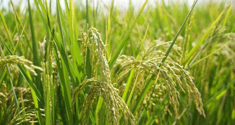 微信图片_20220909110536