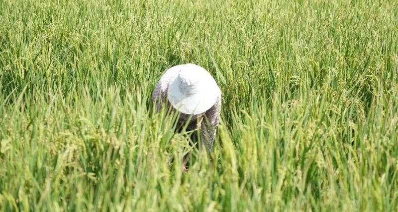 微信图片_20220909110554