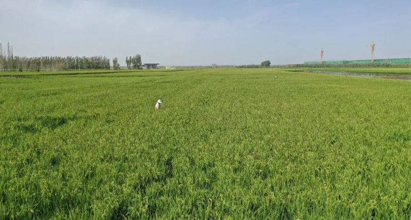 微信图片_20220909110557