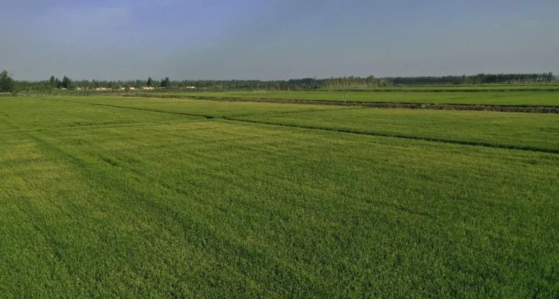 微信图片_20220909110600