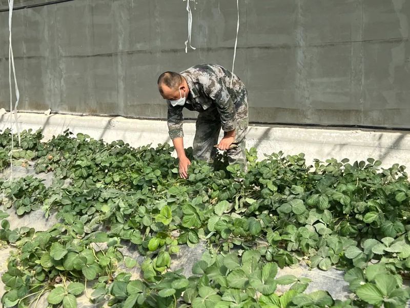 微信图片_20220930115047