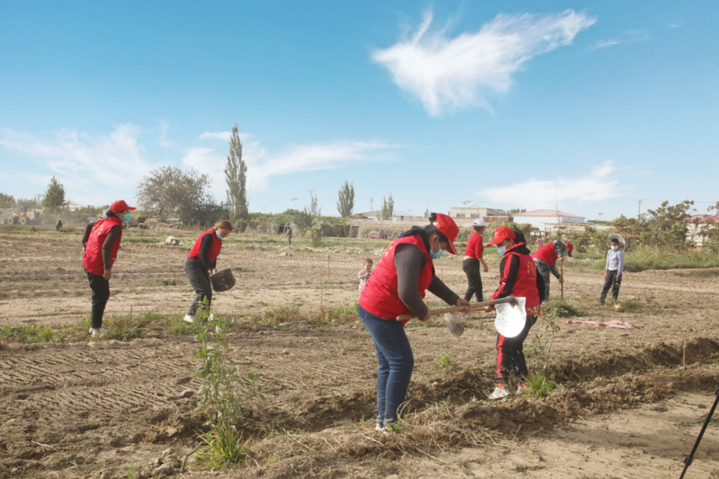 微信图片_20221008111516