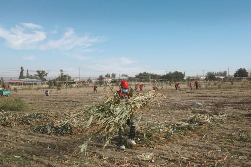 微信图片_20221008111527