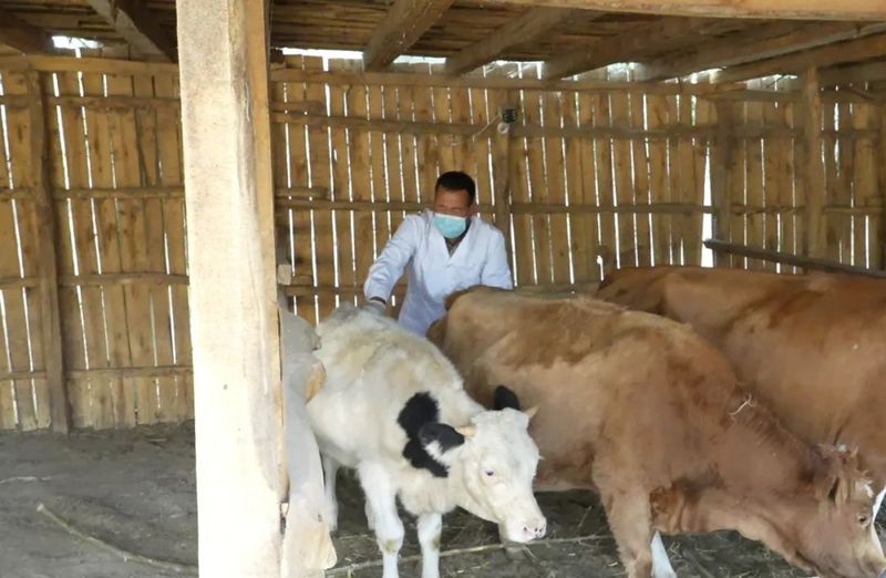 微信图片_20221009102403