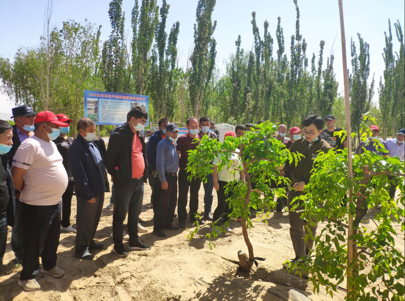 微信图片_20221216112147