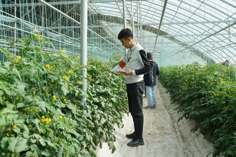 微信图片_20221228103329