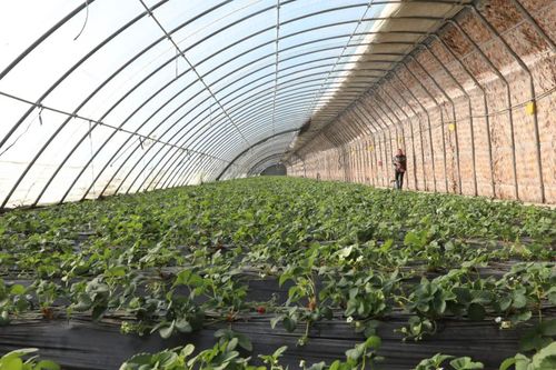 微信图片_20221228103607