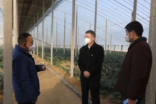 微信图片_20221228103609