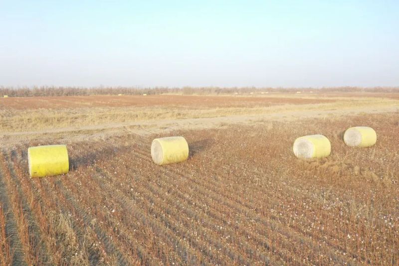 微信图片_20221229104305