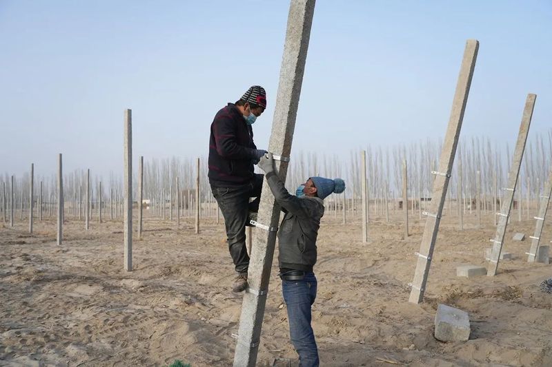 微信图片_20221230101312