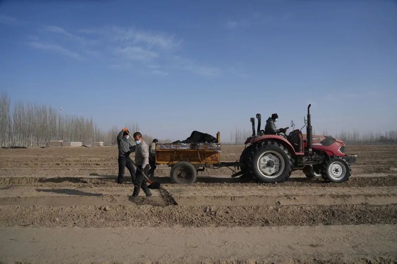 微信图片_20221230101315