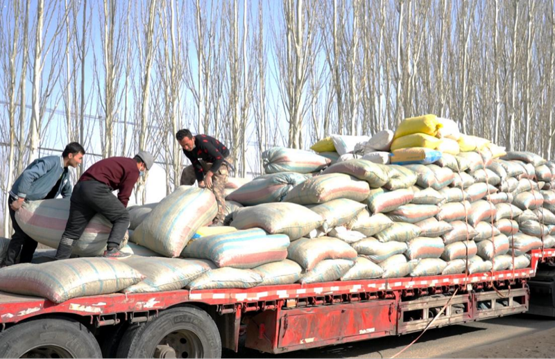 微信图片_20230112111801