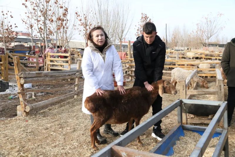 微信图片_20230203101746