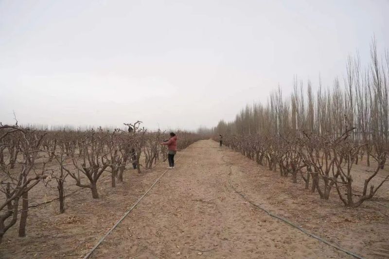 微信图片_20230213102944