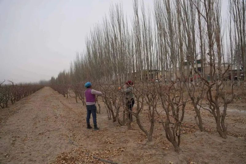 微信图片_20230213102948