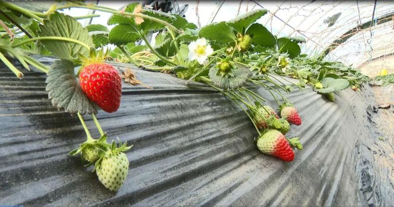 微信图片_20230214103036