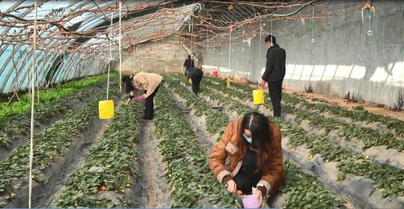 微信图片_20230214103039