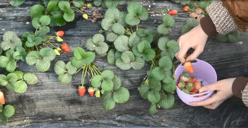 微信图片_20230214103042