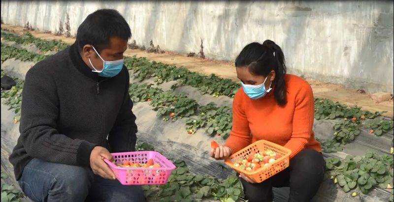 微信图片_20230214103045