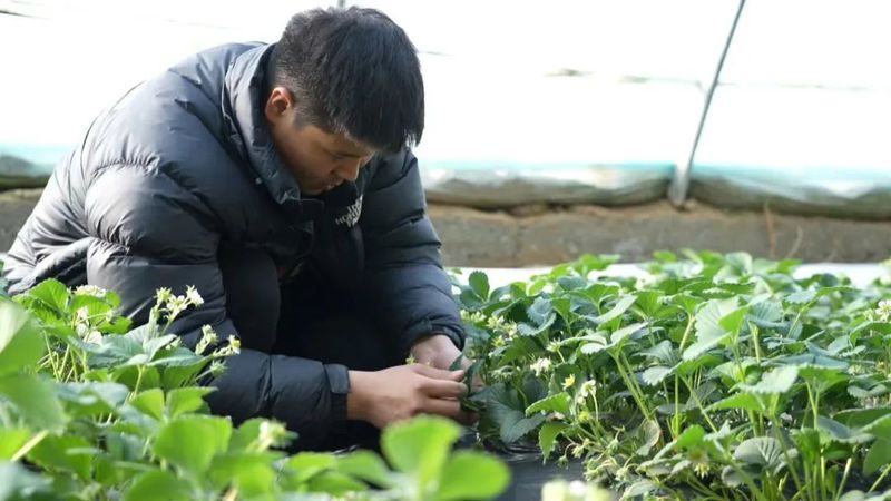 微信图片_20230220120414