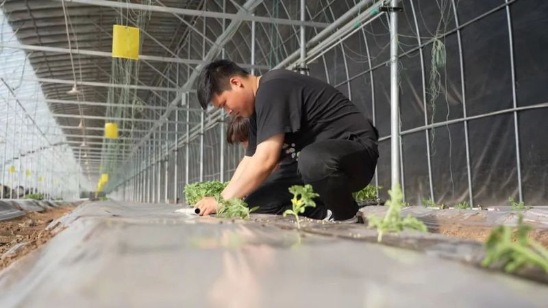 微信图片_20230220120420