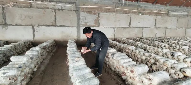 微信图片_20230227101412