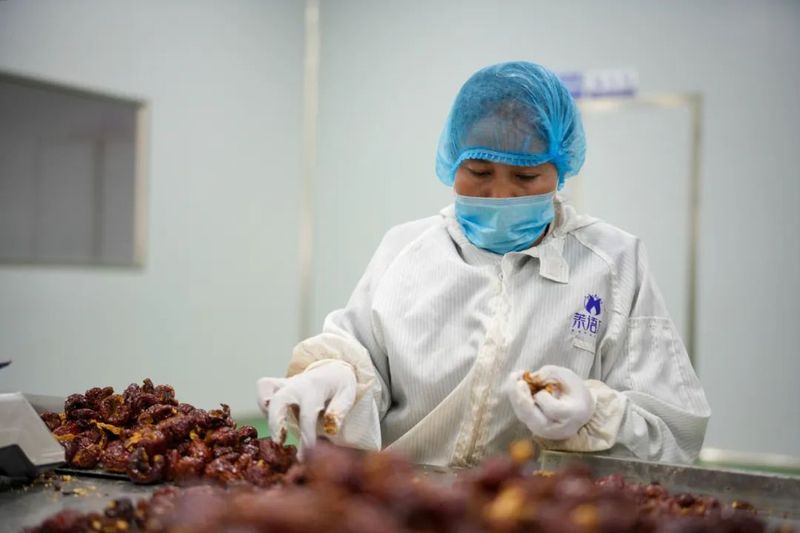 微信图片_20230316103520