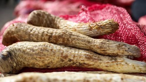 微信图片_20230321102703