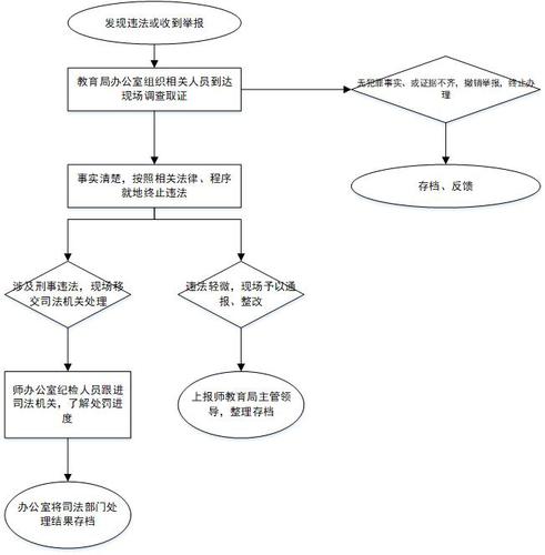 序号15 对学校管理混乱，存在重大安全隐患情节严重或者拒不改正的处罚