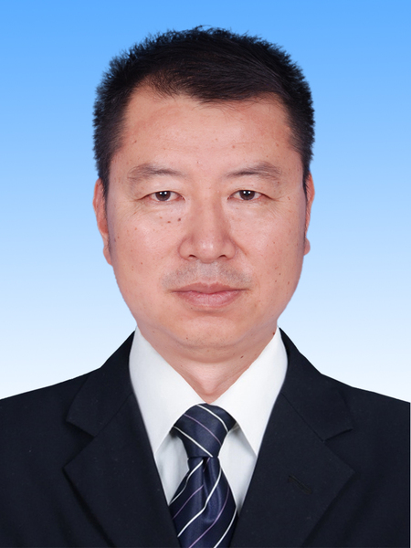 陈力