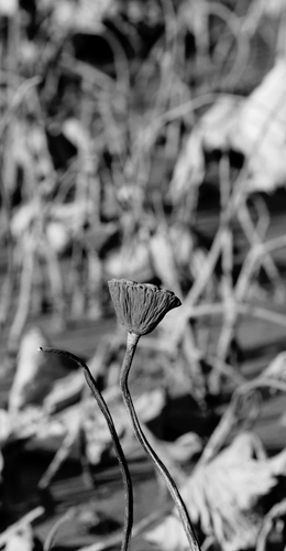 IMG_20231109_221319