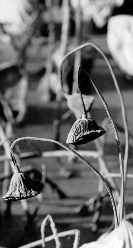 IMG_20231109_221350